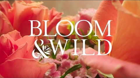       Bloom & Wild